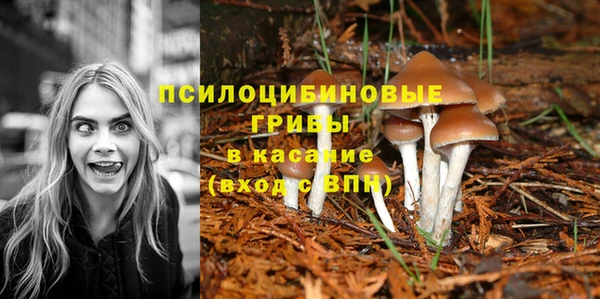 твердый Алексеевка