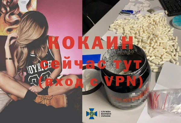 твердый Алексеевка